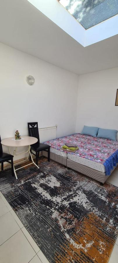 Sweet Home Antwerpen Bagian luar foto